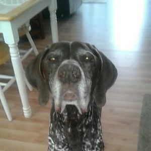 Meet your Posher, Ralph